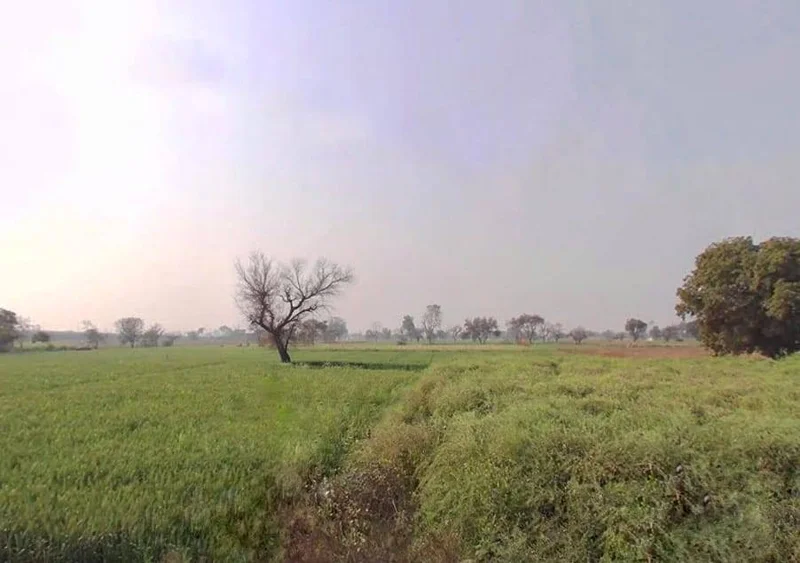 Seetal, Rajasthan 301021, India preview 2