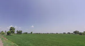 Kamala, West Bengal 721147, India preview 2