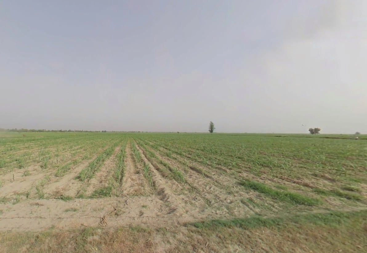 322X+268, Jalalpur Jora, Uttar Pradesh 250401, India preview 2