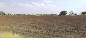 Khandwa, Madhya Pradesh 450001, India preview 3