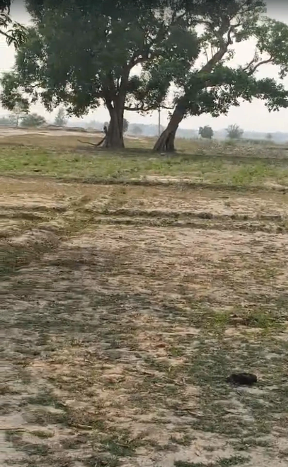 Biswan, Sitapur, Uttar Pradesh 261201, India