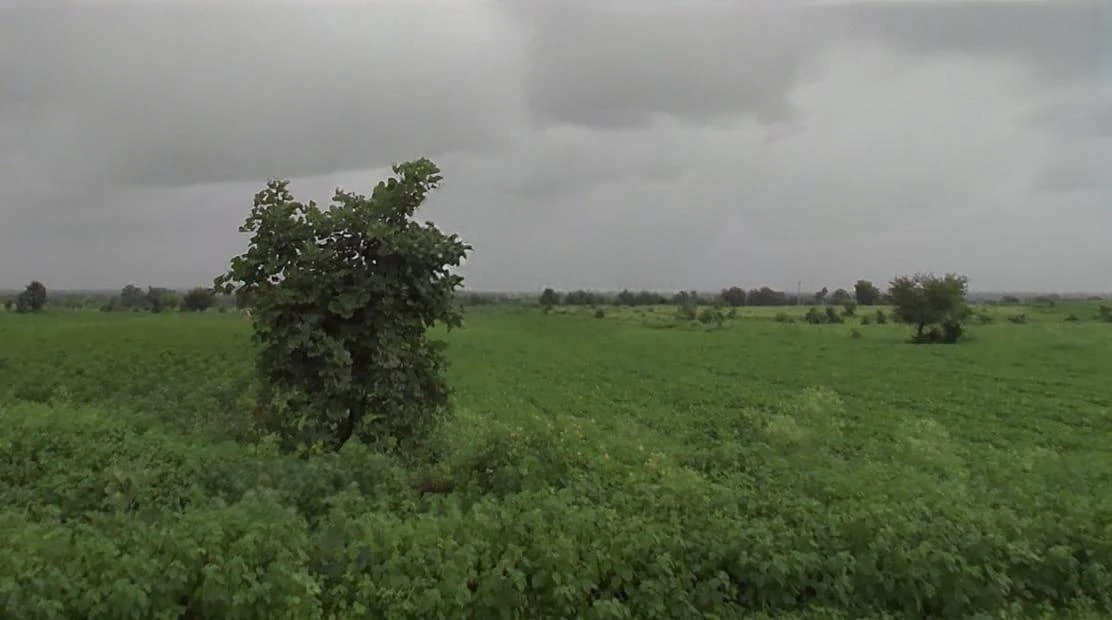 X3FP+25F, Dewas, Madhya Pradesh 455001, India