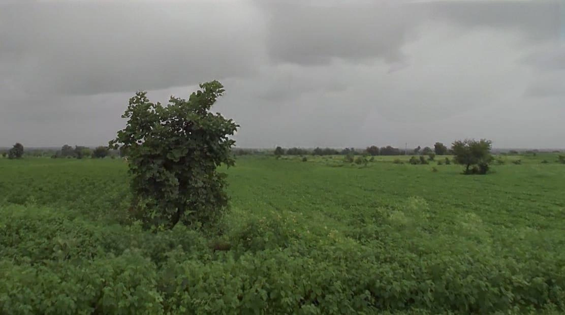 X3FP+25F, Dewas, Madhya Pradesh 455001, India