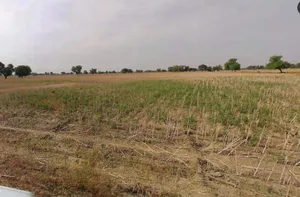 Muskara, Uttar Pradesh 210506, India preview 3