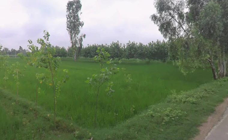 Budhana - Muzaffarnagar Rd, Muzaffarnagar, Uttar Pradesh, India