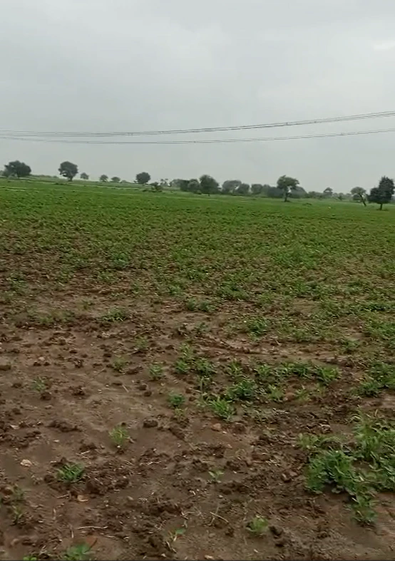 Patha, Mahoba, Uttar Pradesh, India