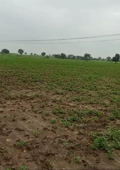 Patha, Mahoba, Uttar Pradesh, India preview 2