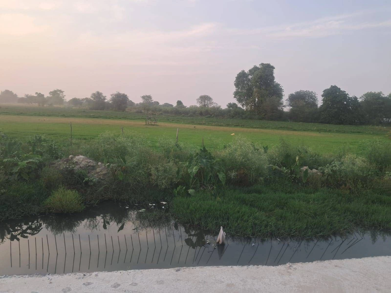 Nagina, Uttar Pradesh 246762, India