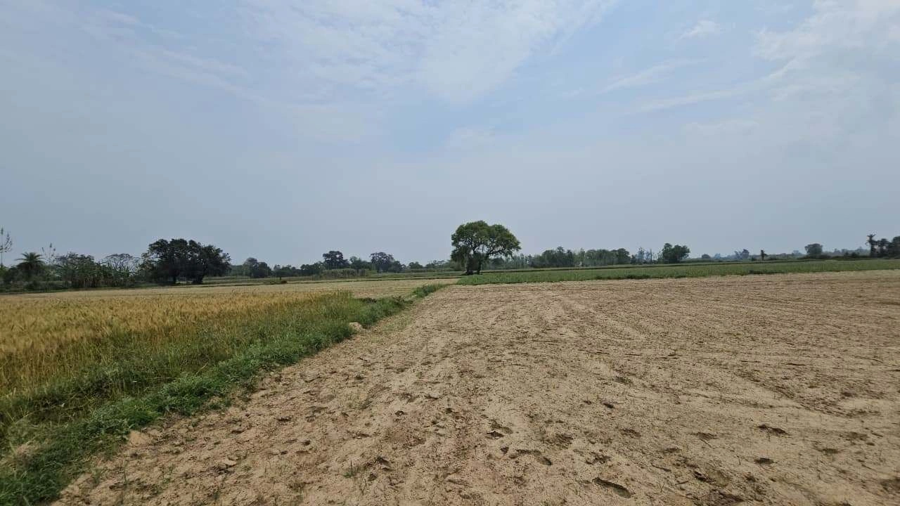 Etawah, Rajasthan 325004, India preview 2