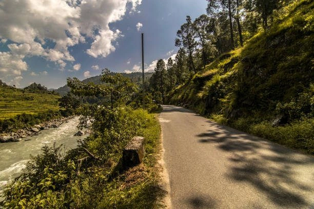 Ukrauli, Udham Singh Nagar, Uttarakhand 263151, India
