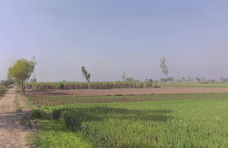 Phalawda Rural, Uttar Pradesh 250401, India