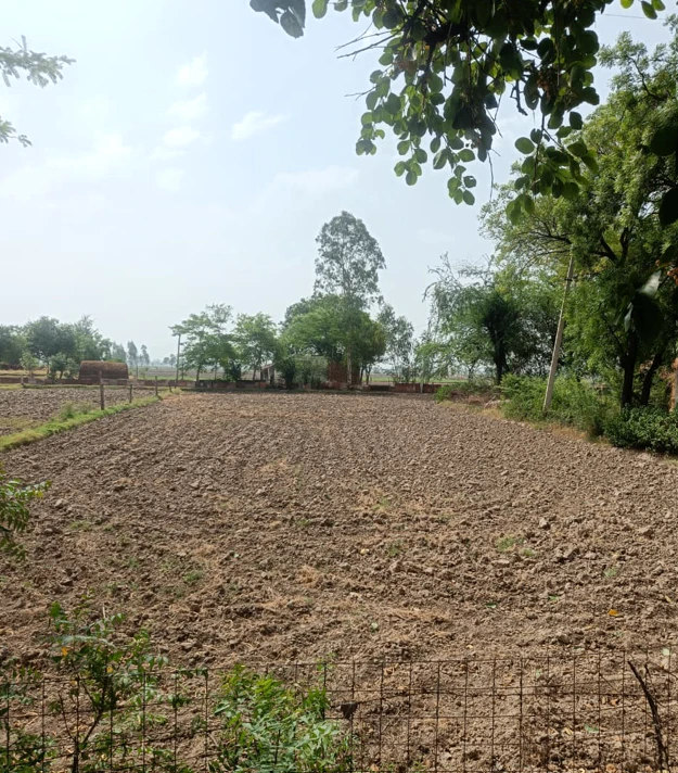 Khanna, Punjab, India