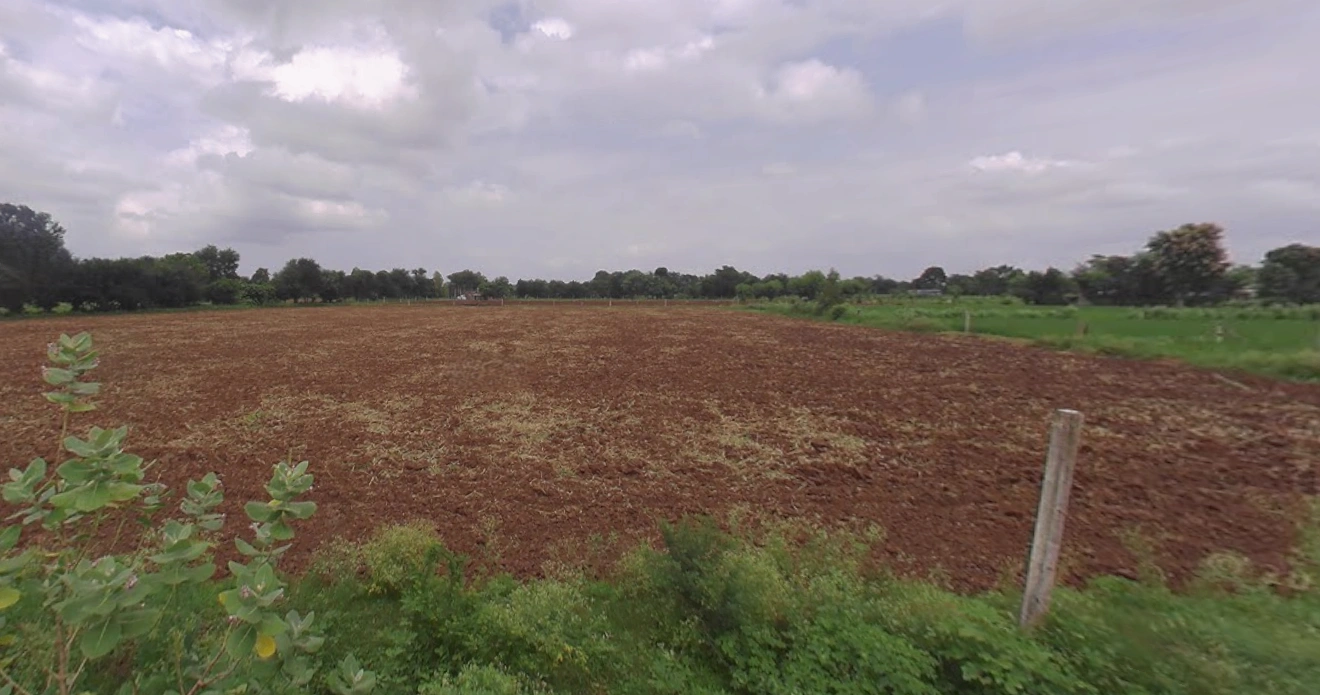 Chekhla, Gujarat 382115, India