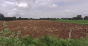 Chekhla, Gujarat 382115, India preview 3