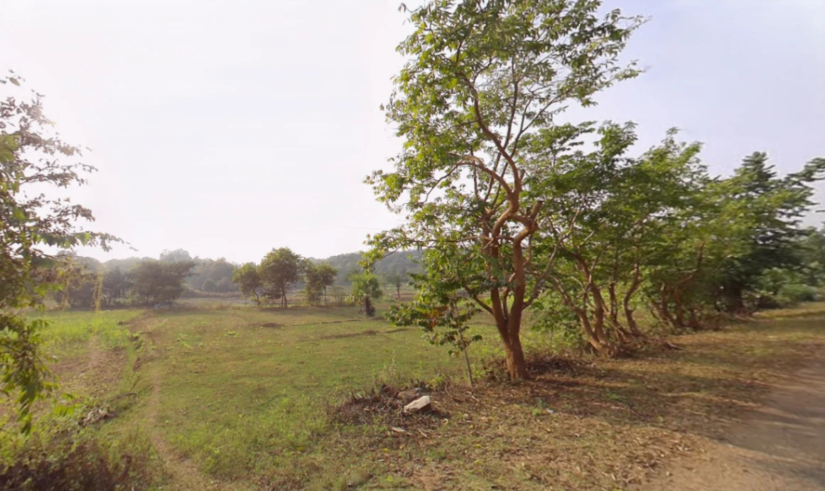 4927+RR9, Nalagola - Pakuahat - Malda Rd, Khiripara, West Bengal 732138, India preview 3