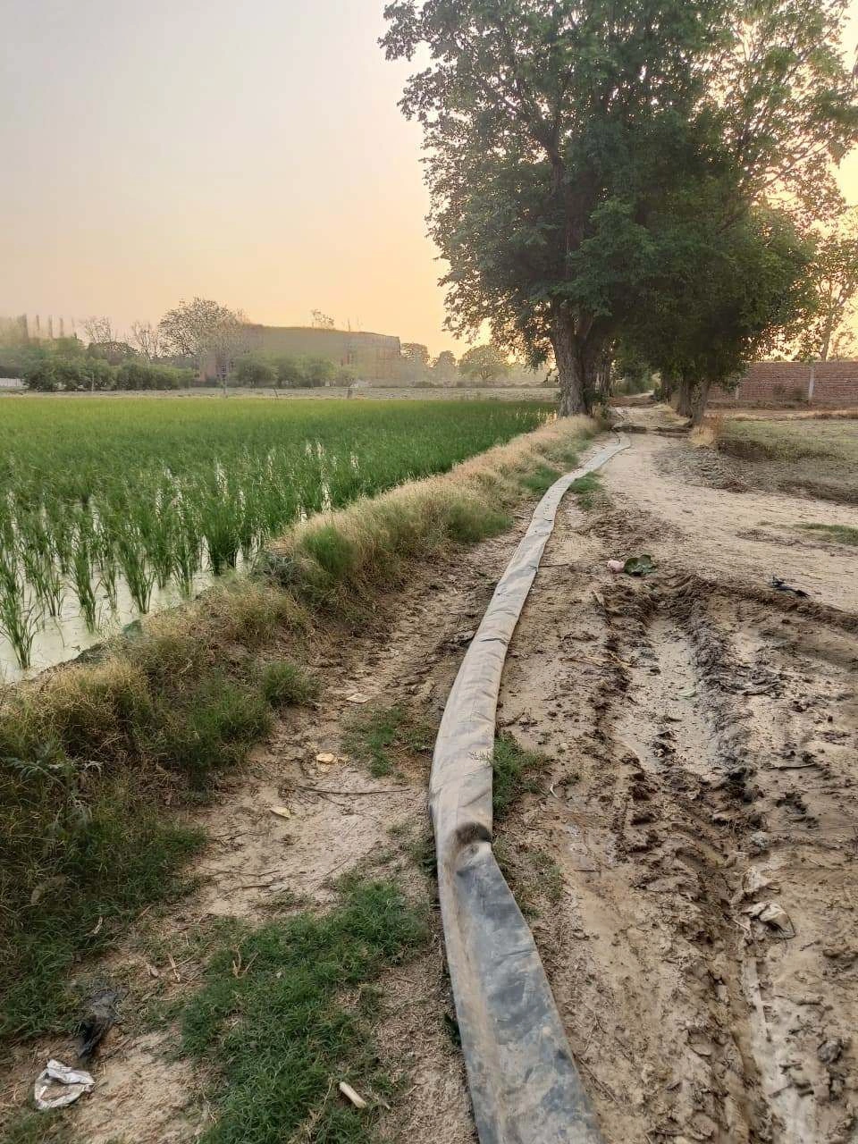 Chandauri, Uttar Pradesh, India preview 2
