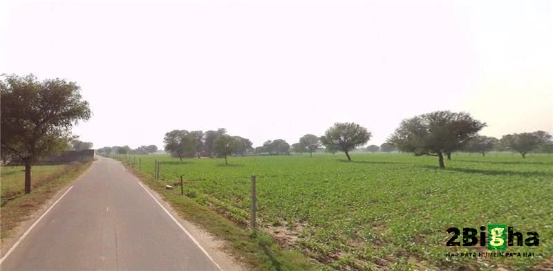 Mohanpura, Rajasthan, India