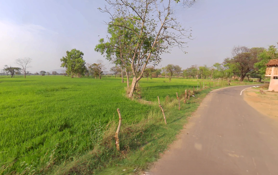 C/o:, motilal nishad, ward 2, Mudhipani, Chhattisgarh 766105, India