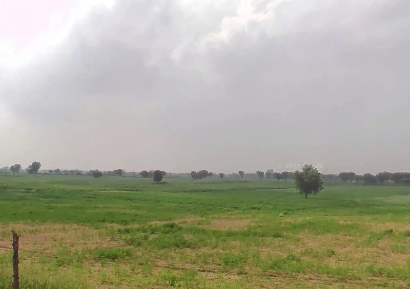 WVM8+576, Arjansar, Rajasthan 334604, India preview 3