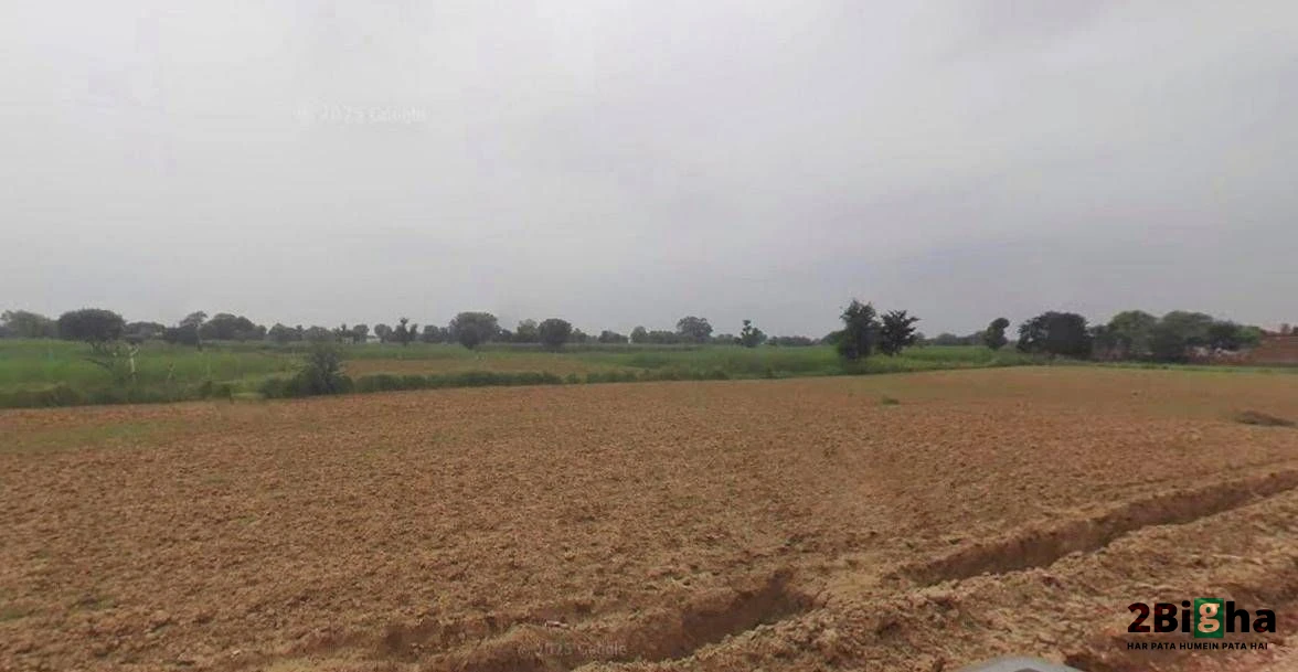 Kothi, Madhya Pradesh 485666, India