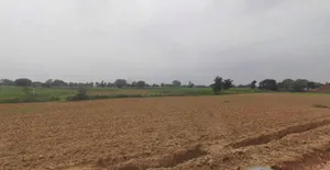 Kothi, Madhya Pradesh 485666, India preview 2