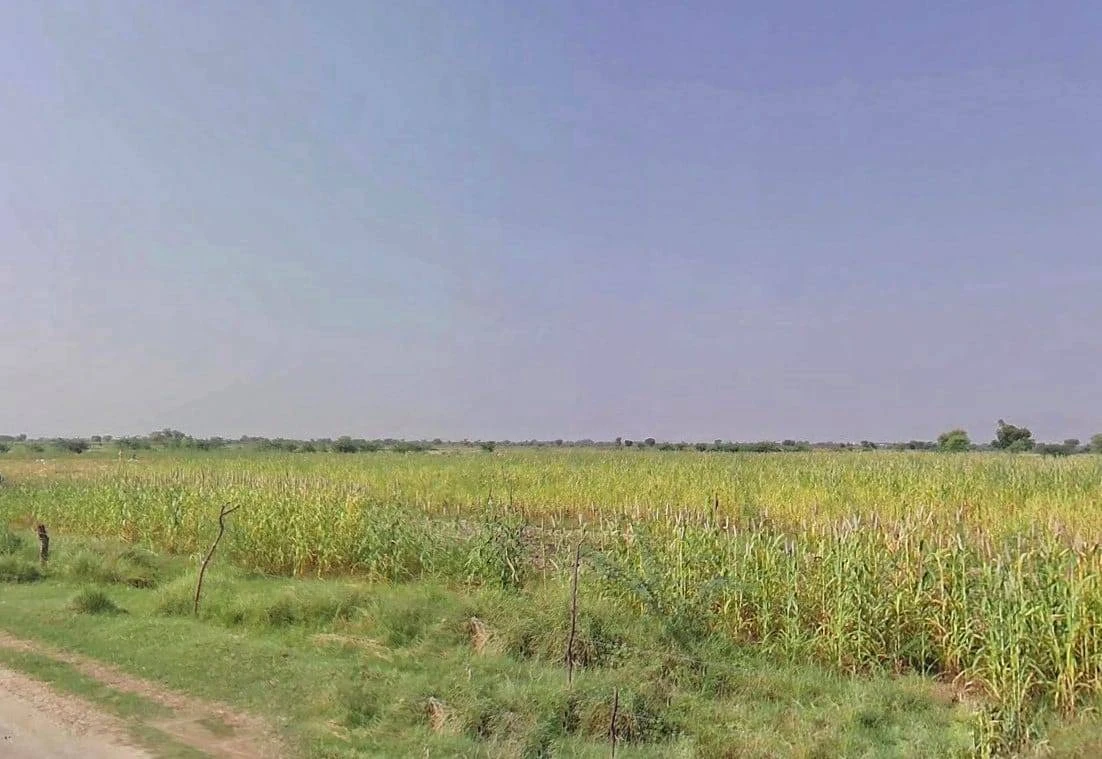 Bharatpur, Rajasthan, India