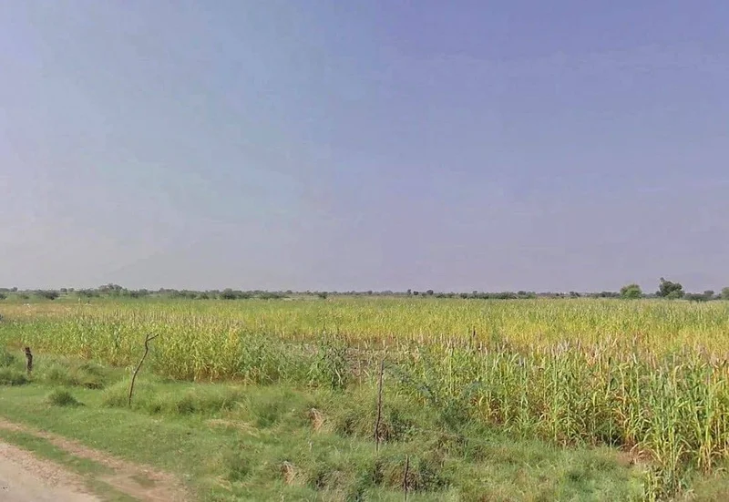 Bharatpur, Rajasthan, India preview 2