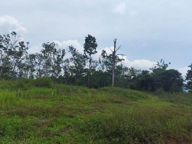 M3GG+7XF, Kambalakkad, Kerala 673124, India