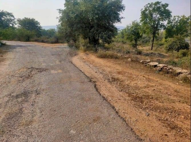 8WP8+5J Wailwari, Rajasthan, India