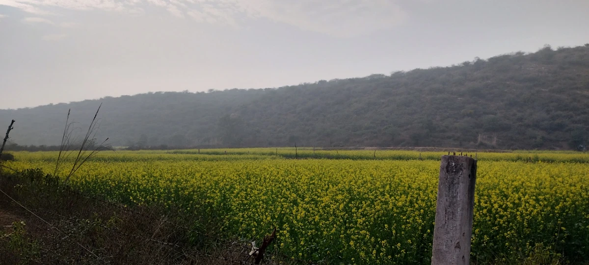 Seu, Rajasthan, India