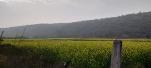 Seu, Rajasthan, India preview 2