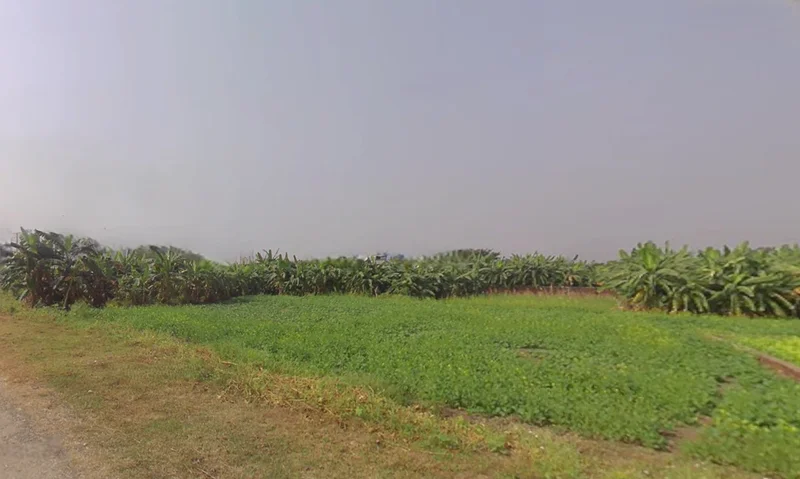 Action Area III, Chotto Chandpur, Newtown, New Town, West Bengal, India preview 2