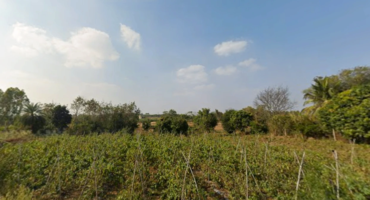 Sonnenahalli Village, Karnataka 562163, India