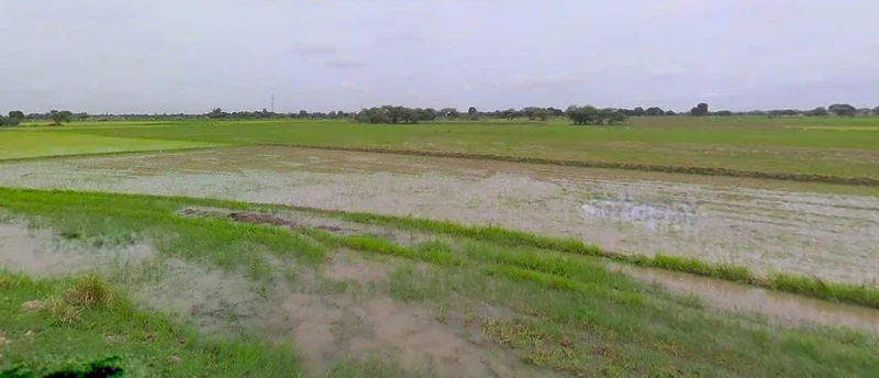 Ingoriya, Madhya Pradesh 456222, India preview 2