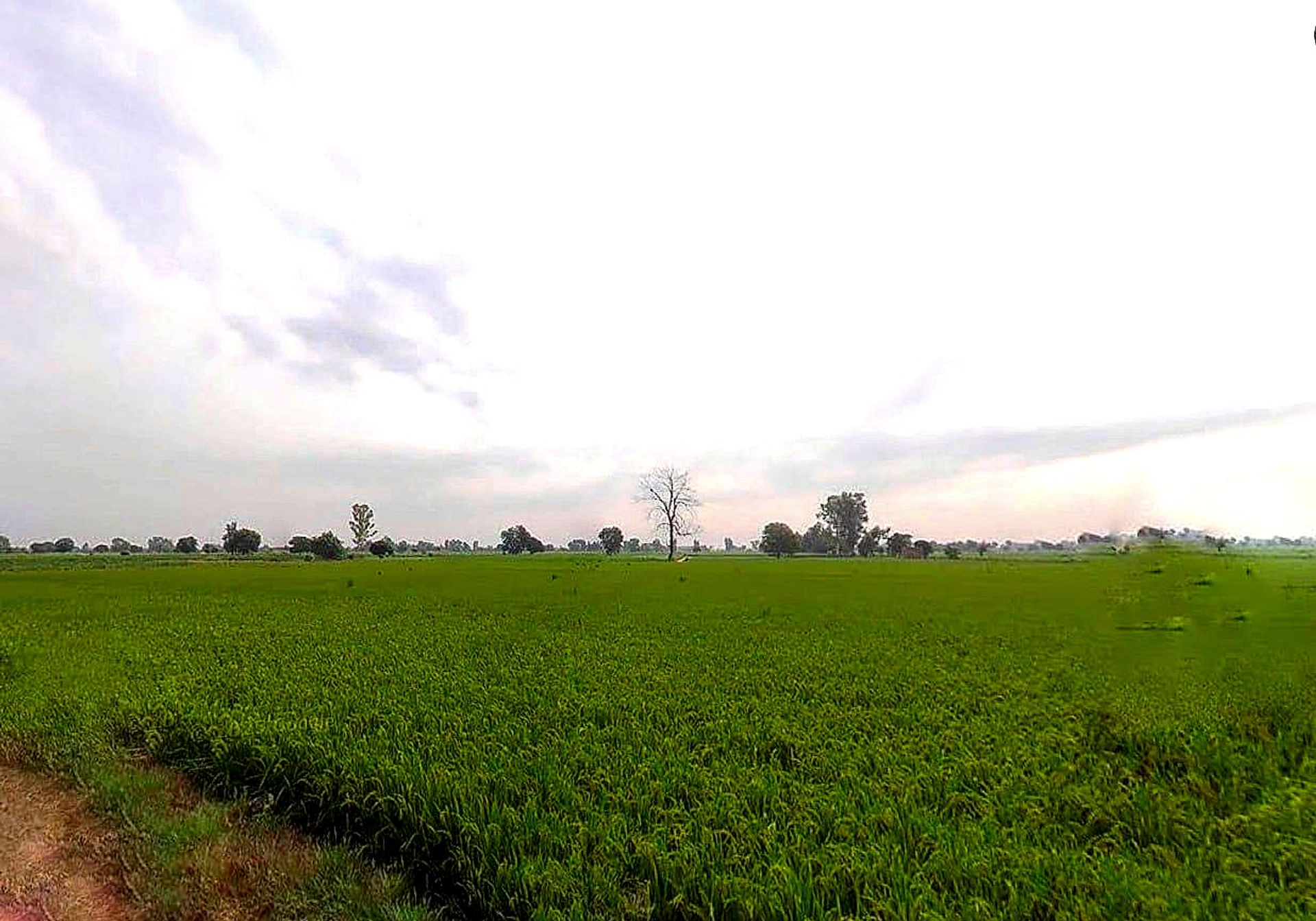 Jagannathprasad, Odisha 761121, India