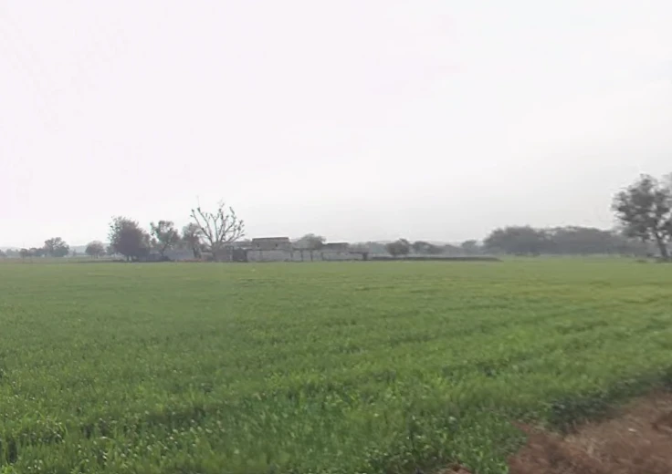 Sohanpur, Rajasthan, India