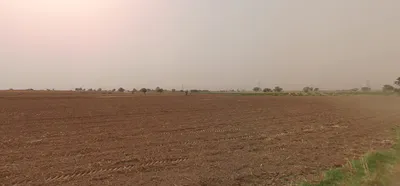 Bandar Seendri, Rajasthan, India preview 3