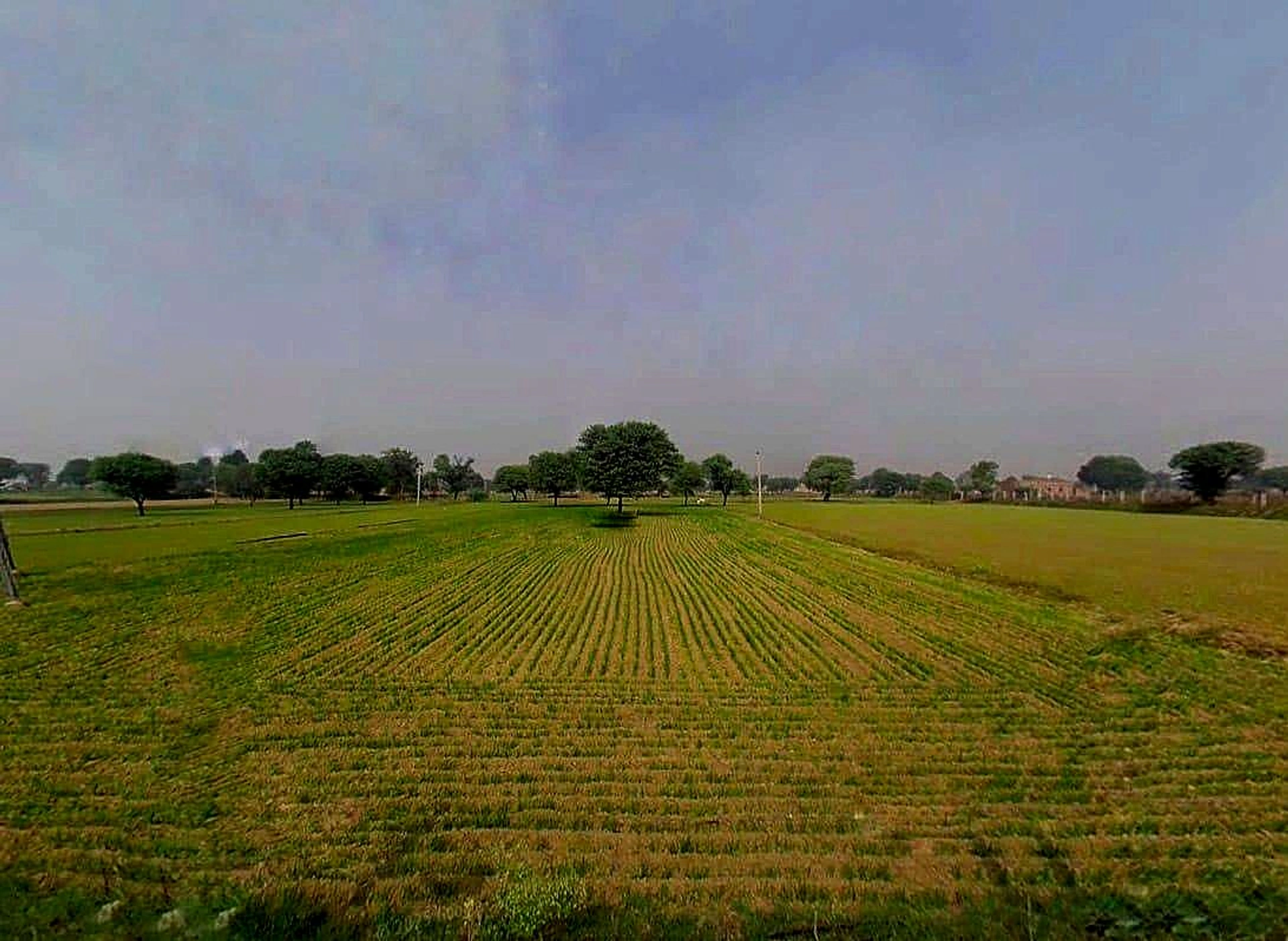 Dhoblai, Rajasthan 303712, India