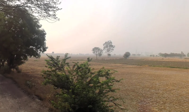 Pirthla, Haryana, India preview 3