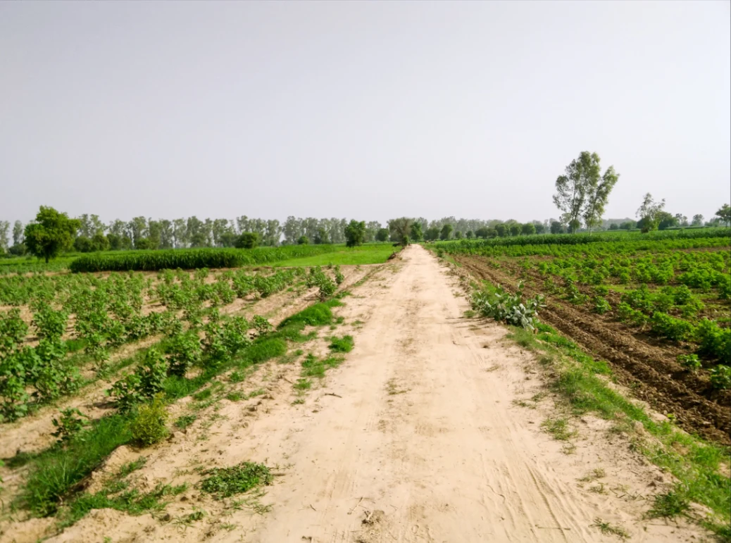 Begumganj, Madhya Pradesh, India