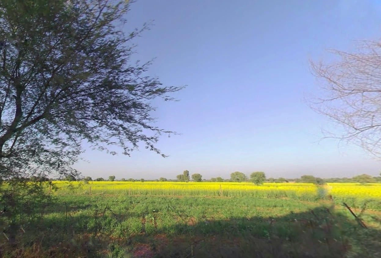 VFF6+G4F, Bhandarej, Gothra, Rajasthan 303501, India preview 3