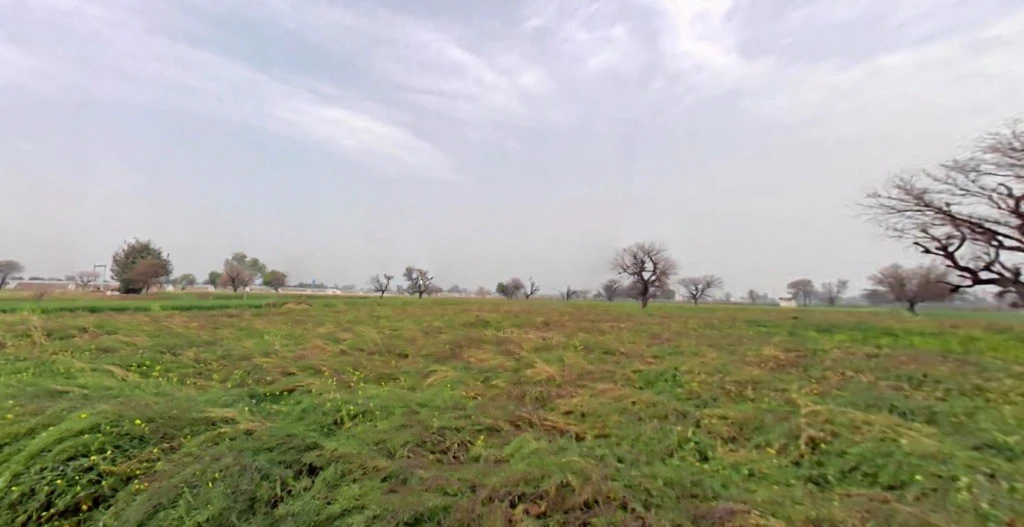 FRR8+C99, Jugrawar, Rajasthan 301001, India