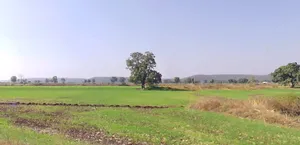 Udanpura, Madhya Pradesh 455227, India preview 2