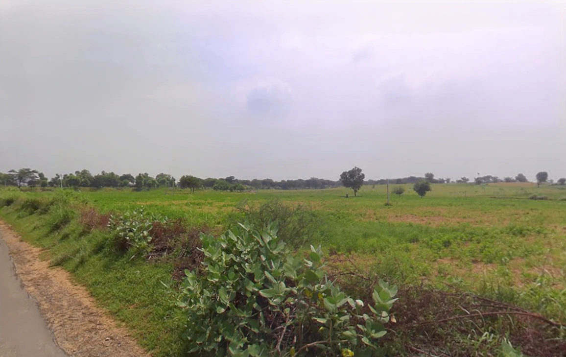 Talwandi Rukka, Haryana 125005, India