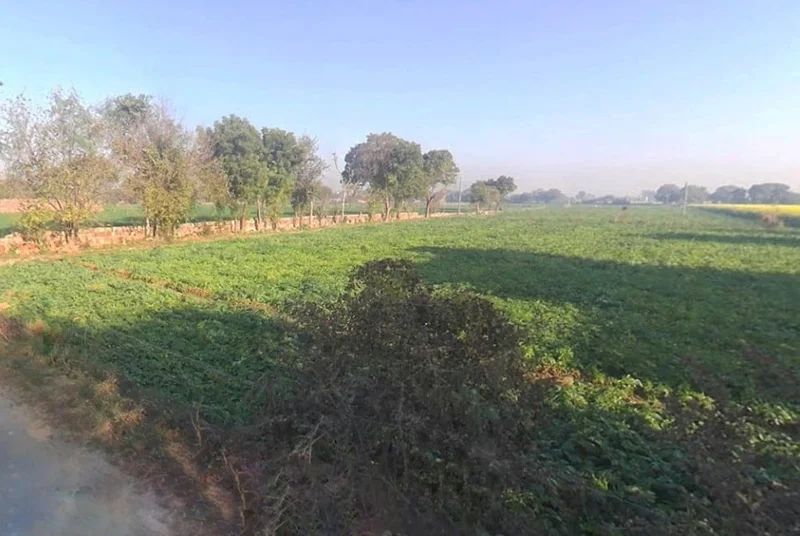 6V7R+GMG, Panwari Rd, Sikandra, Agra, Panwari, Uttar Pradesh 282007, India preview 3