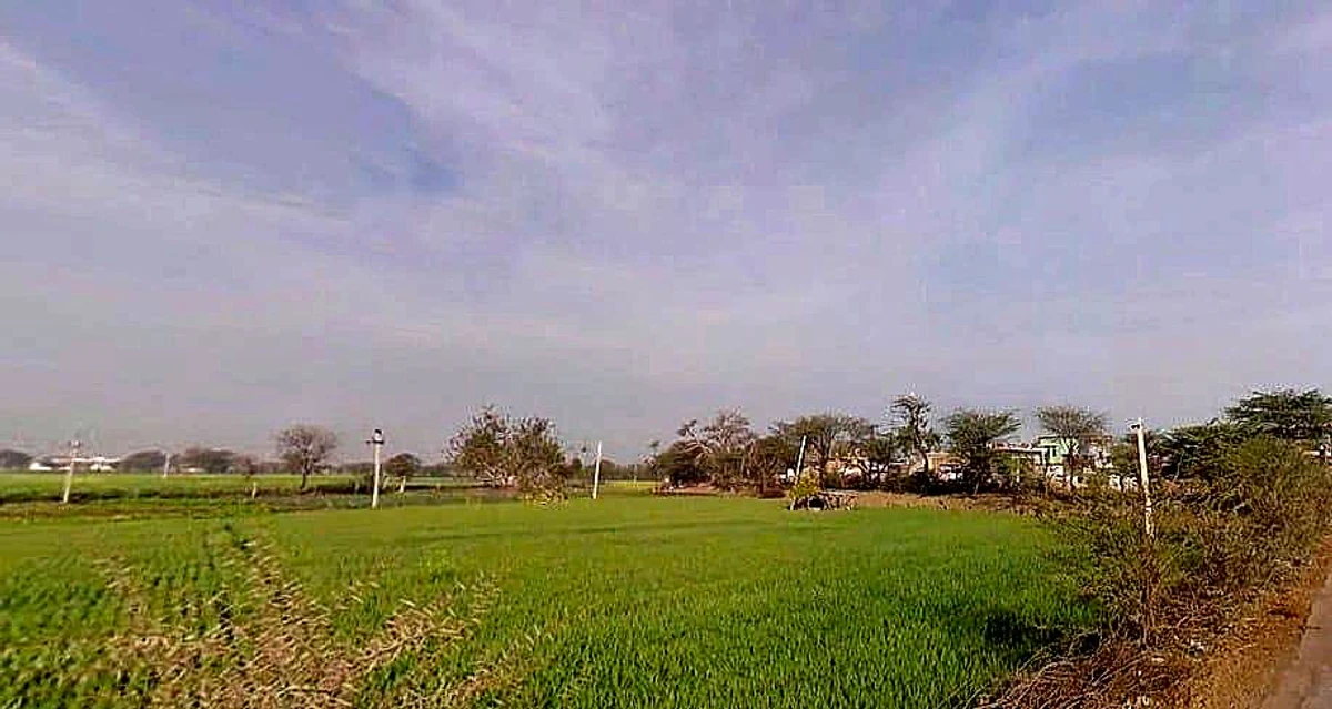 Hadarhera, Rajasthan 301021, India