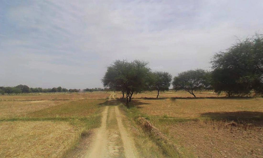 Bijnor, Uttar Pradesh 246701, India