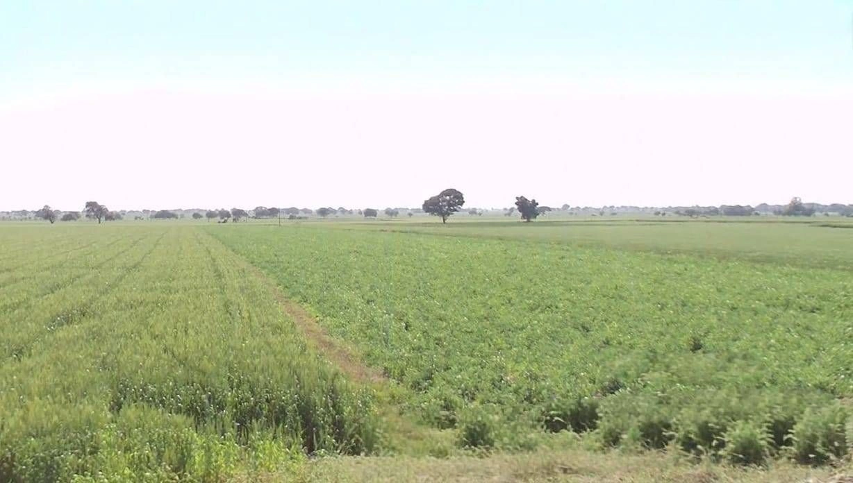 Dakachya, Madhya Pradesh 453771, India preview 3