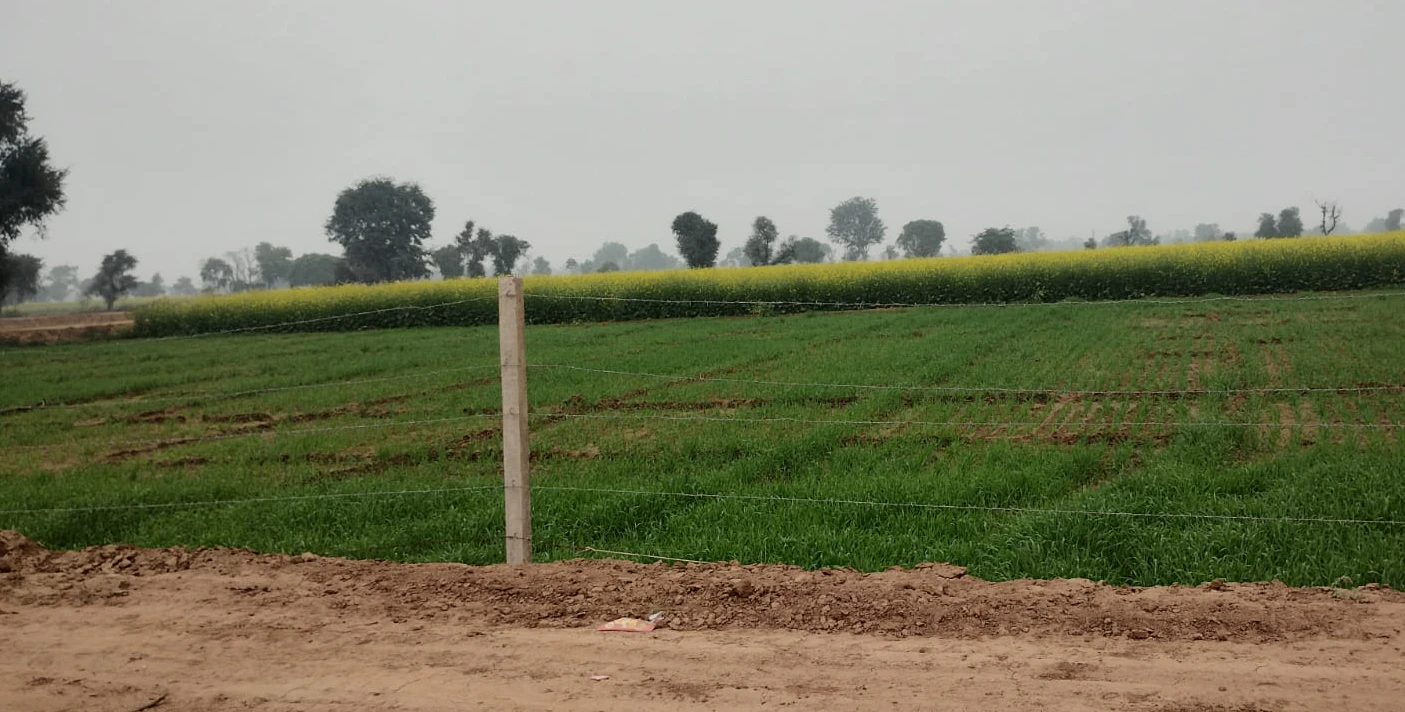Bhadson Rd, Ranjit Nagar, Patiala, Punjab, India