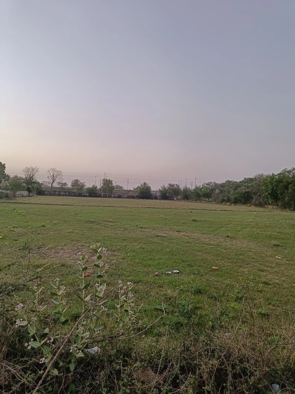 Sahsan, Rajasthan 321023, India